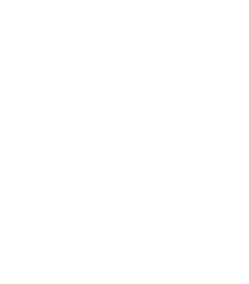 Logo_2